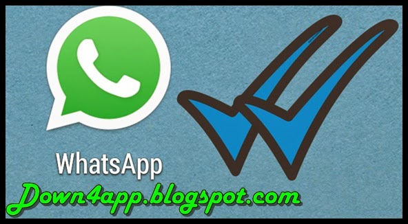 WhatsApp 2.11.560 APK Download Free