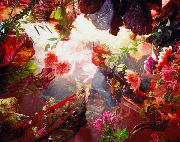margriet smulders 2