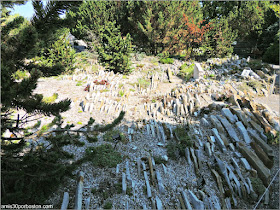 The Crevice Gardens en el Jardín Botánico de Montreal