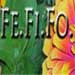 Firedaisy's Shop