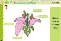 http://www.ceiploreto.es/sugerencias/A_1/Recursosdidacticos/SEGUNDO/datos/03_cmedio/03_Recursos/actividades/04/act2.htm