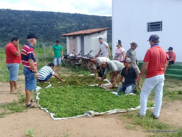 Cursos de caprinocultura e avicultura movimentam a zona rural de Santa Cruz do Capibaribe