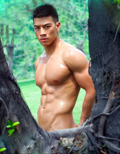 Hot asian male model naked erection Nude pics