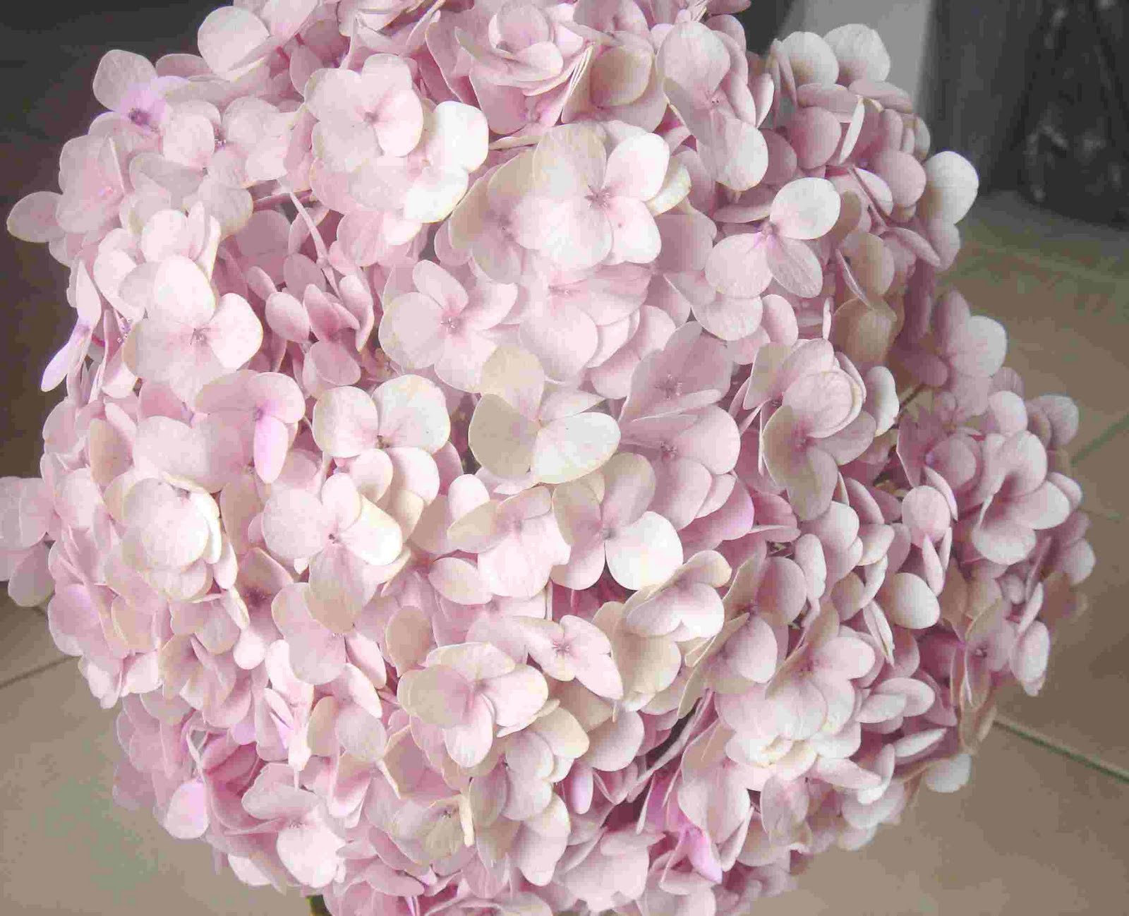 Wedding Flowers: Pink Hydrangeas