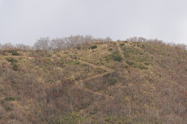 鳥取県日野郡江府町御机 鏡ヶ成高原 象山の眺望