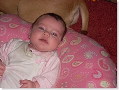 Misc pics 040