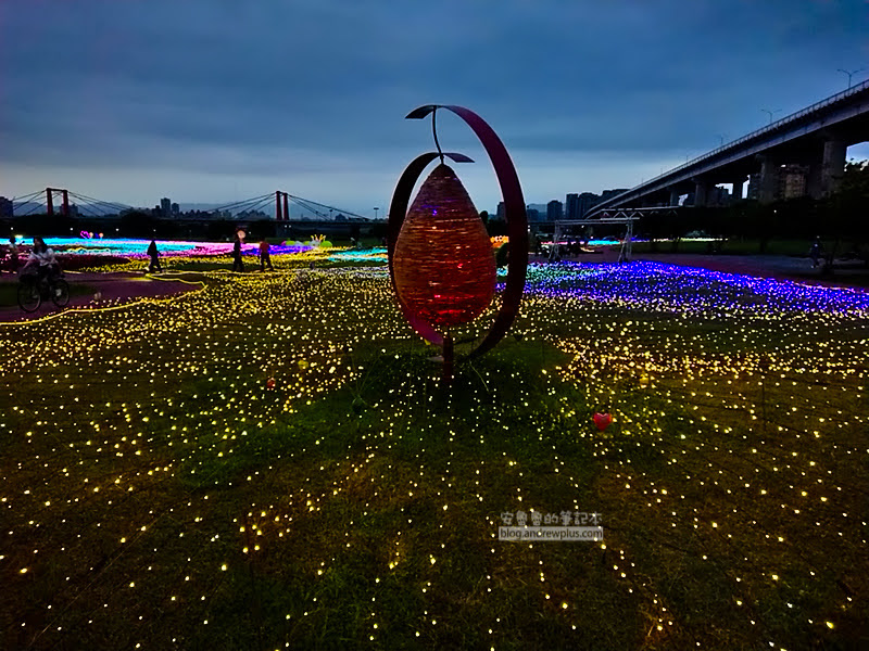 板橋蝴蝶公園,地景花海光雕,板橋景點,河濱蝶戀季