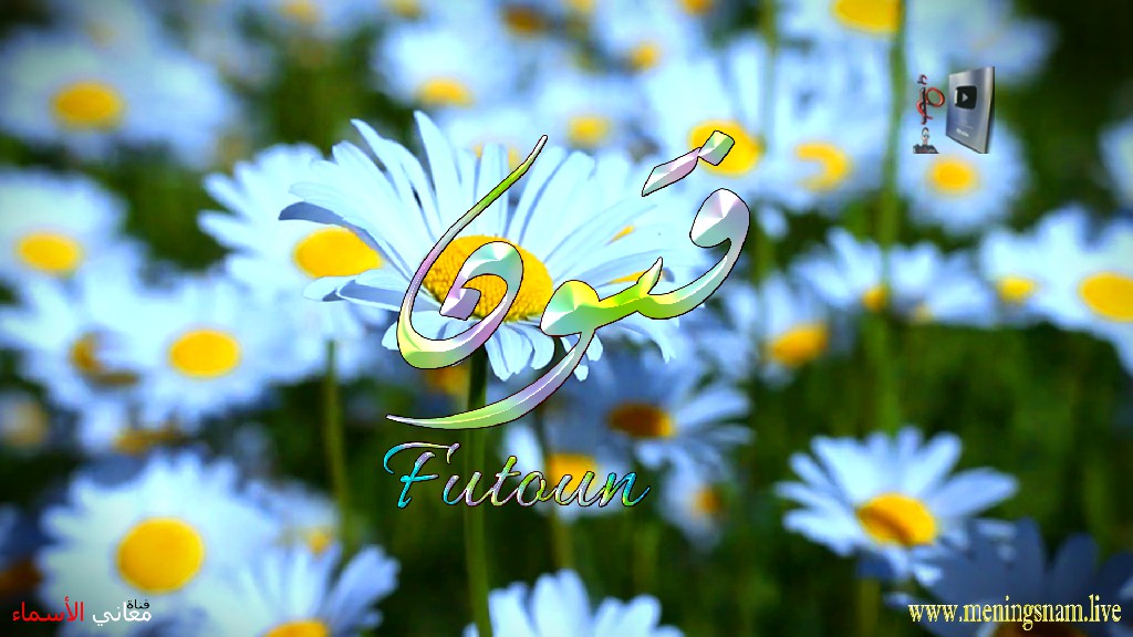 معنى اسم, فتون, وصفات, حاملة, هذا الاسم, Futoun,