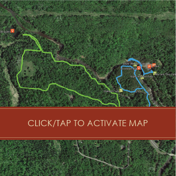 Click to activate map