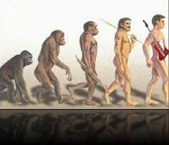 Evolution of guitar