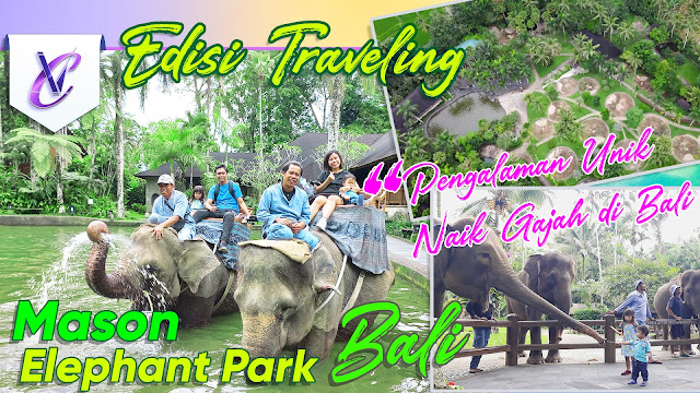 Mason Elephant Park and Lodge Gianyar Bali | Elephant Ride Experience