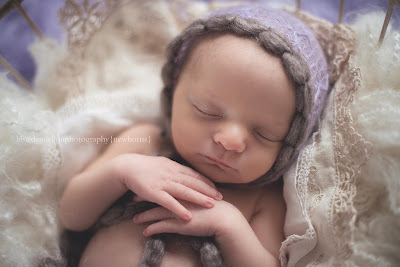  Blue Dandelion newborn photography