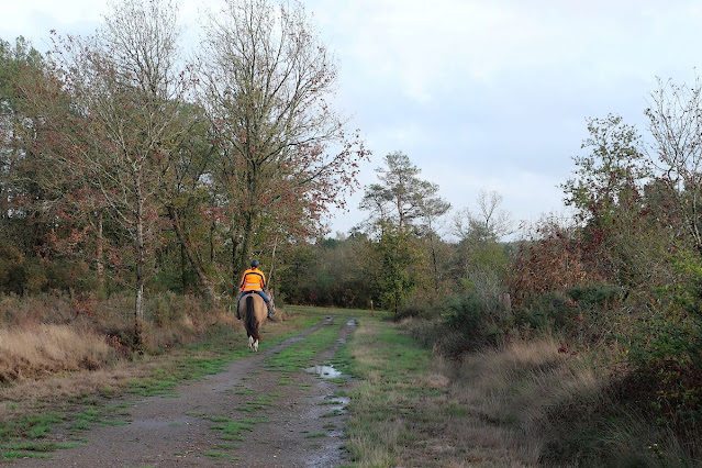 Saint-Just landes de Gremel site mégalithique promenade equestre