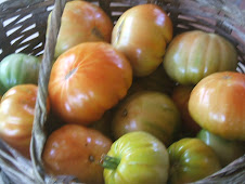 Tomates Margariteños