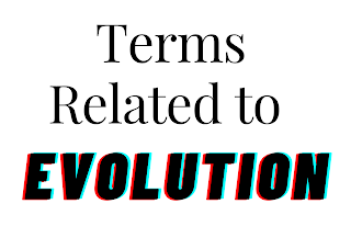 Terms Related to evolution tricks
