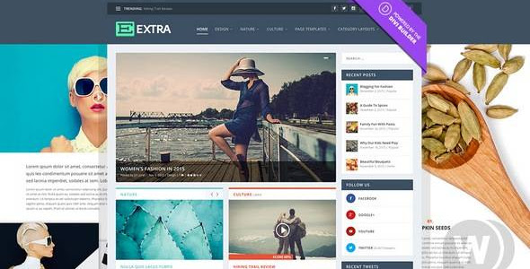 Extra v4.10.7 – WordPress News / Magazine Template