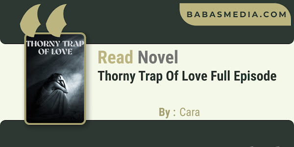 Read Thorny Trap Of Love Novel By Cara / Synopsis