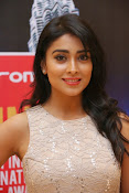 Shriya Saran Glam pics-thumbnail-9