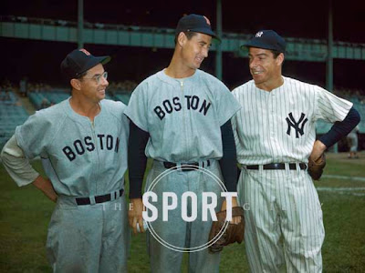 Ted Williams,Entertainment