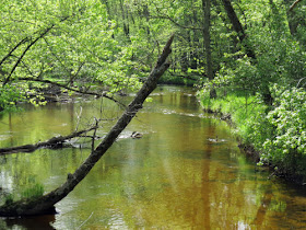 North Country Trail White River