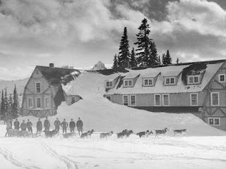 Alaska Dog Team at Mount Rainier Park