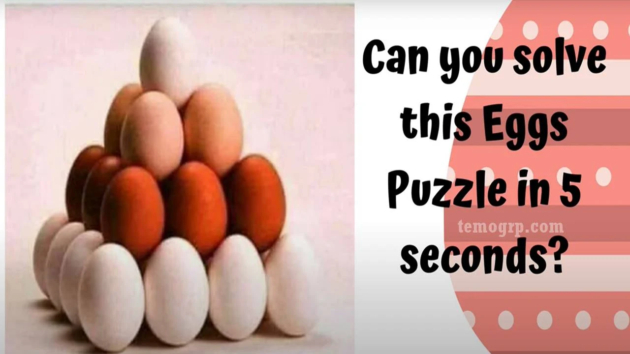 How Many Eggs are in the Picture Puzzle?