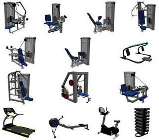 exercise machines for abs