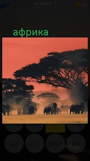 389 фото пейзаж Африки с животными 3 уровень