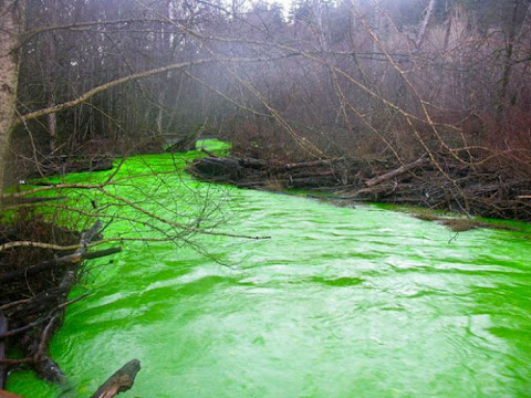 Un río completamente verde