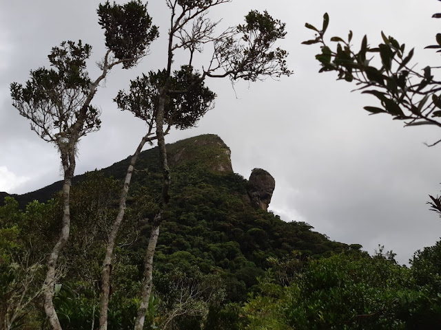 Pedra do Faraó