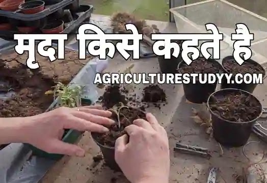 मृदा किसे कहते है, soil in hindi, meaning of soil, मृदा का क्या अर्थ होता है, मृदा की परिभाषा, मृदा अवयव क्या है, मृदा विज्ञान क्या है, मृदा क्या है