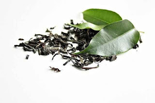 Menghilangkan jerawat dengan tree tea oil, menghilangkan jerawat di punggung dengan minyak pohon teh