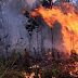 Kebakaran Hutan dan Lahan di Indonesia Terparah Sepanjang Sejarah