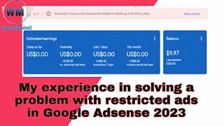 My experience in solving a problem with restricted ads in Google Adsense 2023