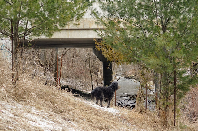 Greenlane Drive is the end of the trail