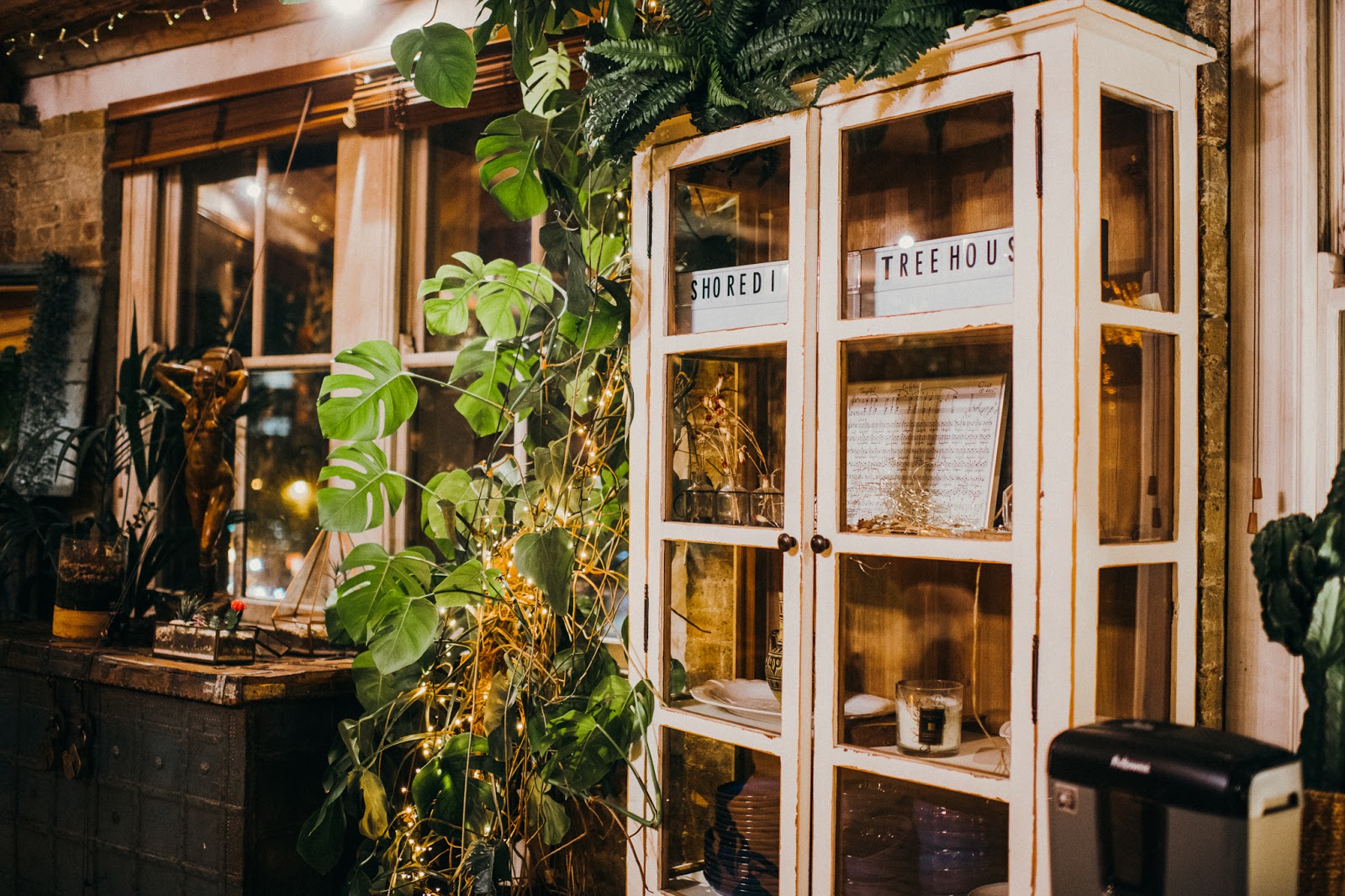 A window with various tall potted plants in front and a white glass cabinet with various ornaments inside.