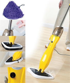 Efbe-Schott Delta Steam Mop.JPG