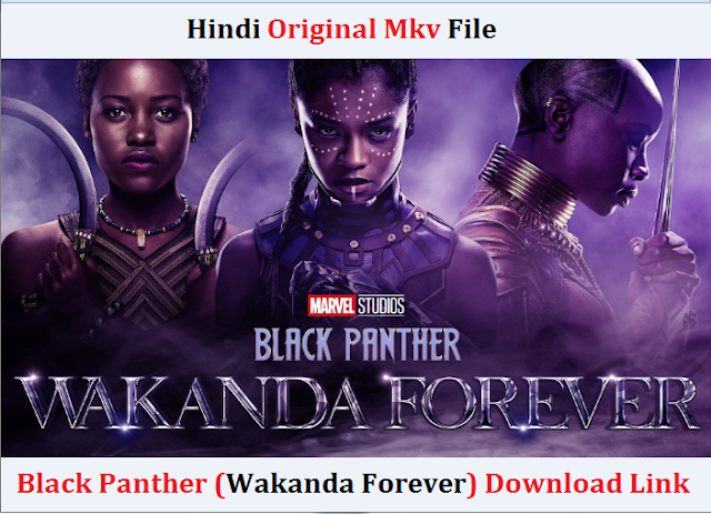 Black Panther Wakanda Forever Movie Download MP4moviez