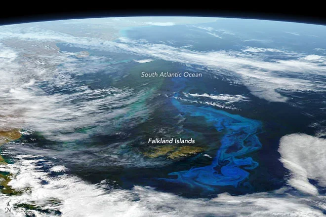 Flowering of algae in the South Atlantic on a satellite photo (1)