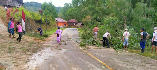 Karena Angin Kencang dan Hujan Deras Pohon Tumbang di Nanggala, Berhasil di Evakuasi Personel Polres Torut