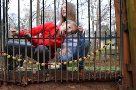 backyard chickens, chicken treats, http://growingdays.blogspot.com