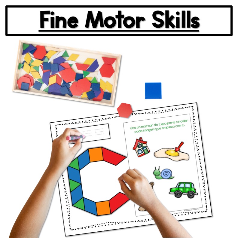Bilingual Fine Motor Skills in Kindergarten and First Grade
