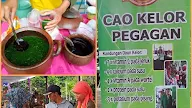 Olahan Cao - kelola sampah: Sampah Untuk Fondasi Bangunan - Berbagai komentar terhadap kebangkitan dan kejatuhan seorang tokoh disampaikan.
