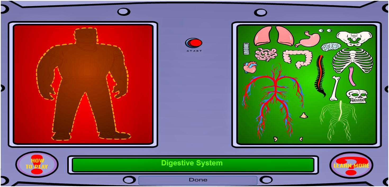 http://sciencenetlinks.com/interactives/systems.html