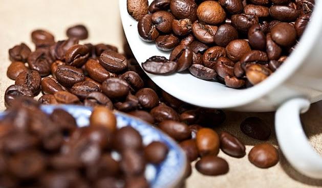 Jenis kopi robusta, liberika dan arabika