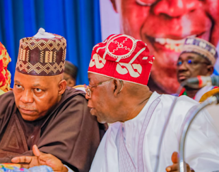 Tinubu Is The Best Presidential Candidate Who Has Intellectual Acumen To Rule Nigeria, Says Shettima