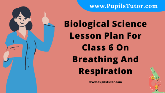 Free Download PDF Of Biological Science Lesson Plan For Class 6 On Breathing And Respiration Topic For B.Ed 1st 2nd Year/Sem, DELED, BTC, M.Ed On Macro Teaching Skill In English. - www.pupilstutor.com