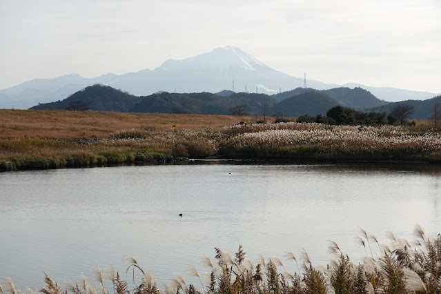 島根県安来市穂日島町 排水池 大山の眺望