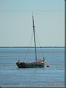 SAM_0328