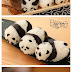 Cute panda sushi